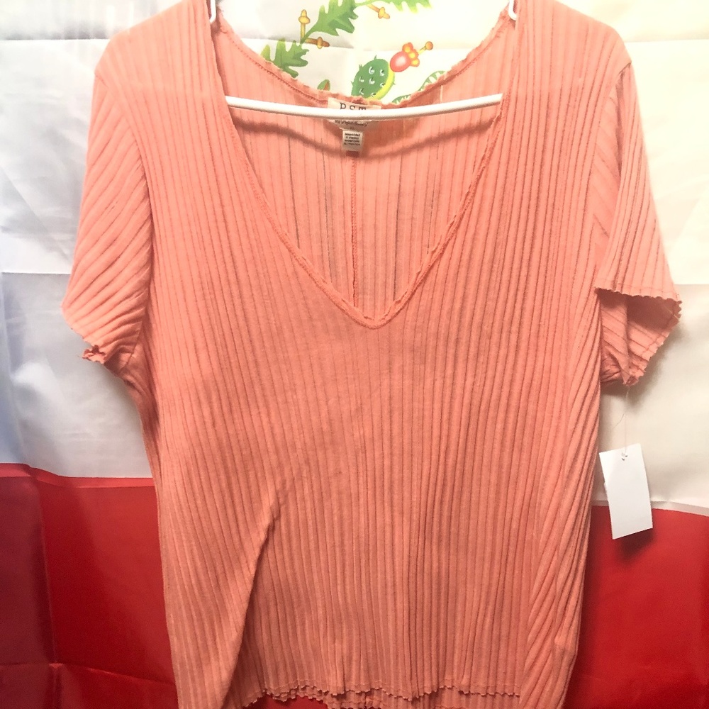 Project Social T Salmon NWT